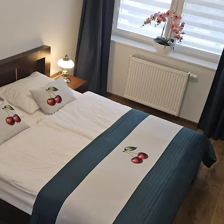 Apartament Wisniowy Ogrod Z Garazem-3